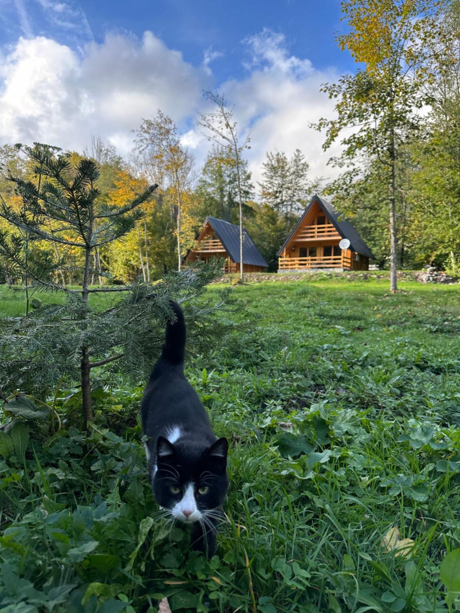 Ethno Village Long Story Kolašin Екстериор снимка